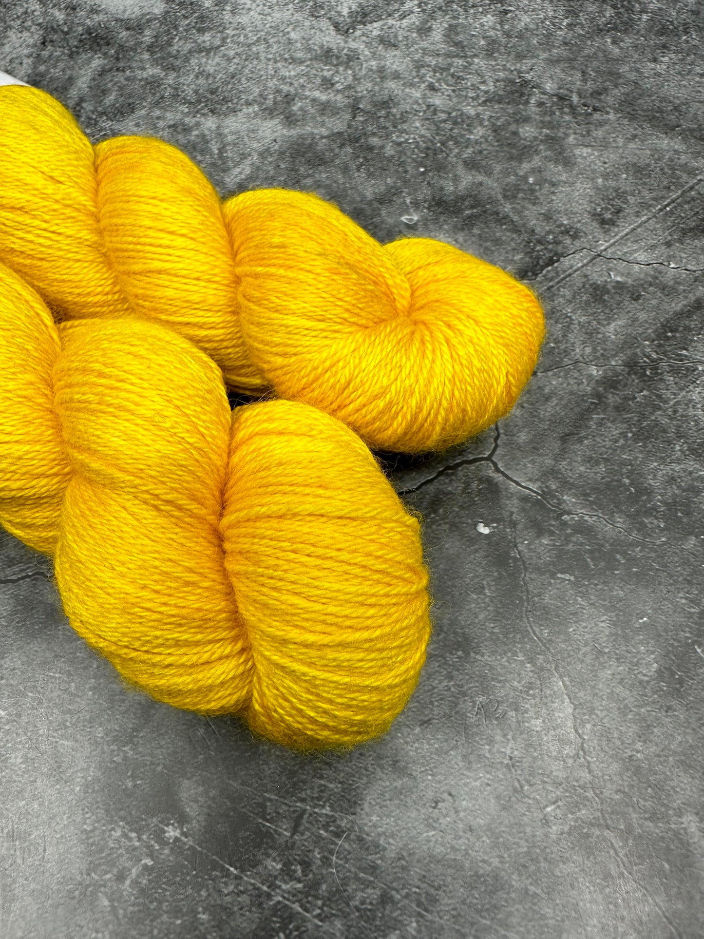 BFL Royal SUNBEAM