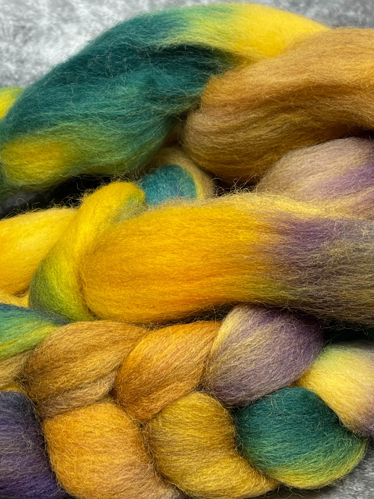 BFL Kammzug No. 01