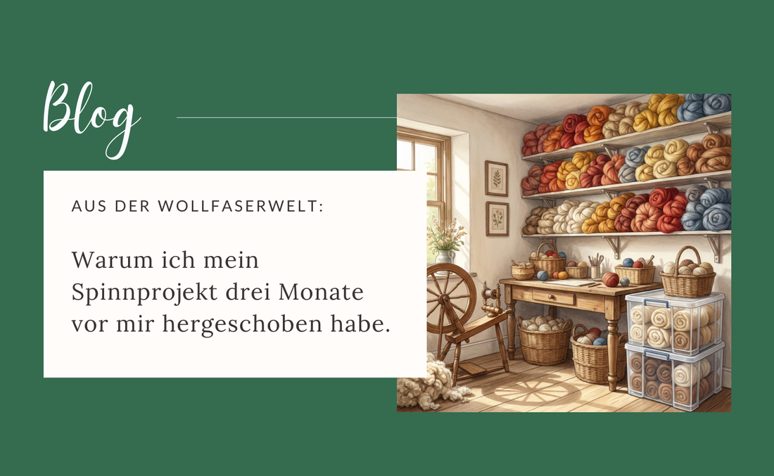 Warum ich mein Spinnprojekt drei Monate vor mir hergeschoben habe (und was Ordnung für Spinnfaser wirklich damit zu tun hat)