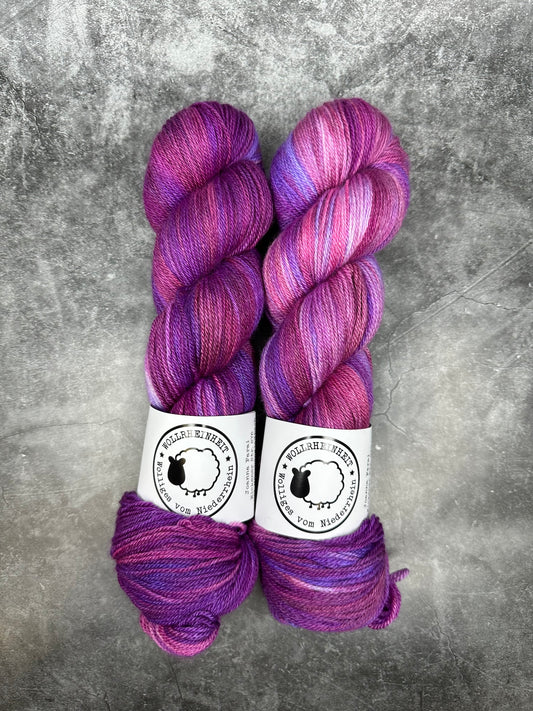 BFL Royal ORCHID WHISPER